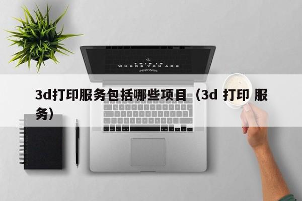 3d打印服务包括哪些项目（3d 打印 服务）