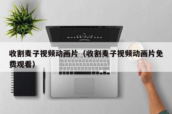 收割麦子视频动画片（收割麦子视频动画片免费观看）